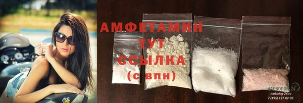 прущие грибы Белокуриха