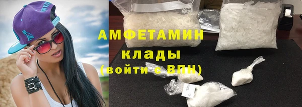 прущие грибы Белокуриха