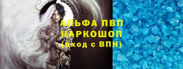 прущие грибы Белокуриха