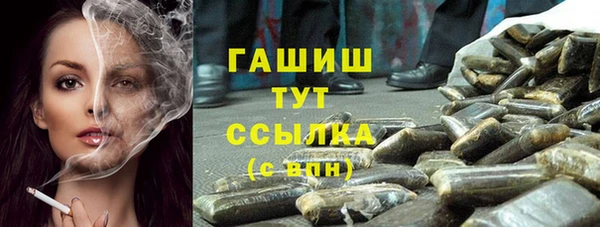 прущие грибы Белокуриха