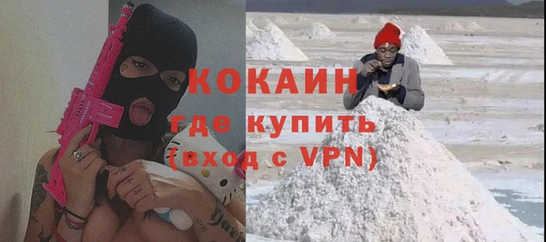 прущие грибы Белокуриха